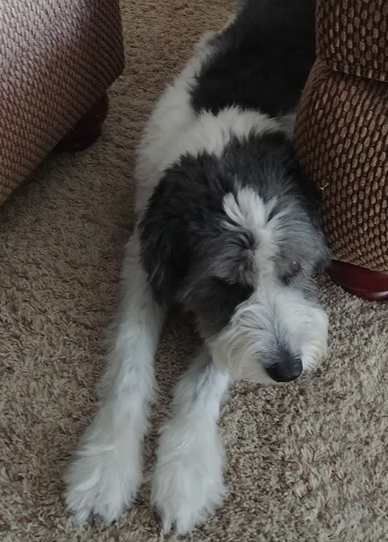 Unwilling to be photographed